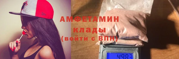 шишки Белоозёрский