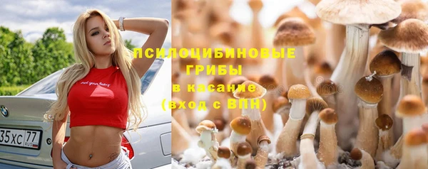 шишки Богданович